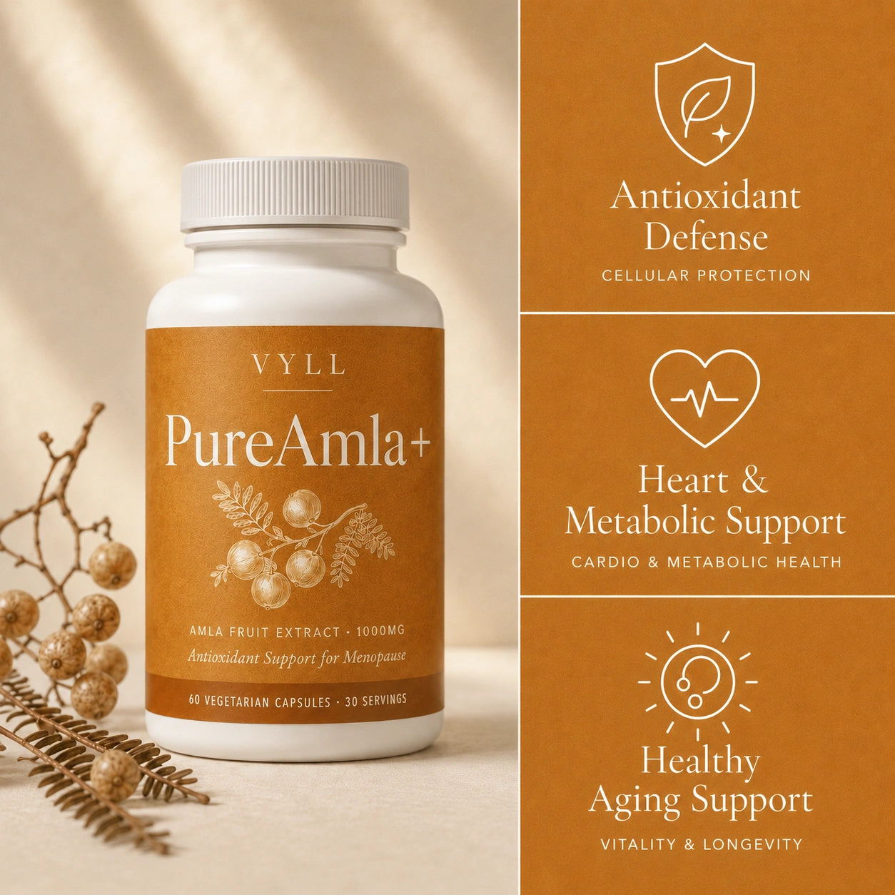 PureAmla+ by VYLL